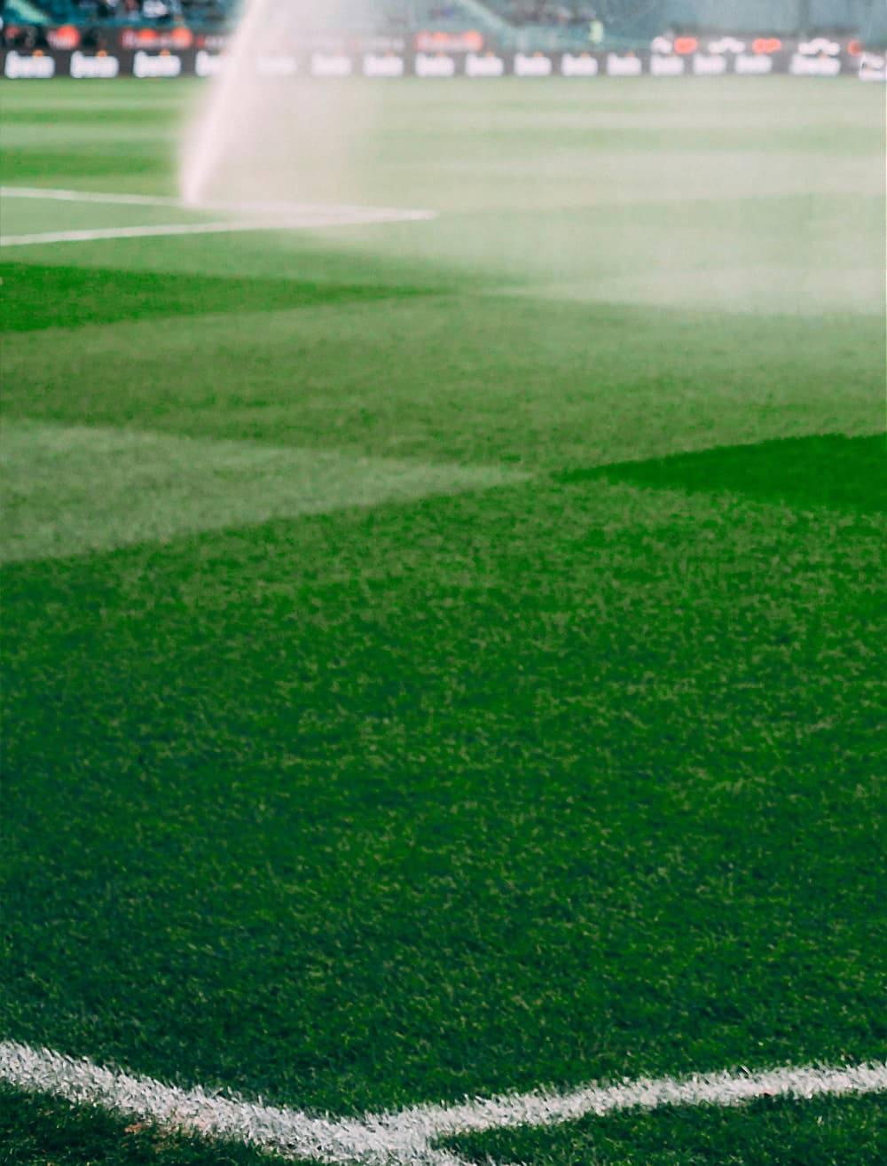 Turfgrass teren
