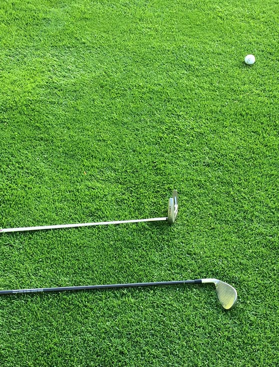 Turfgrass golf teren