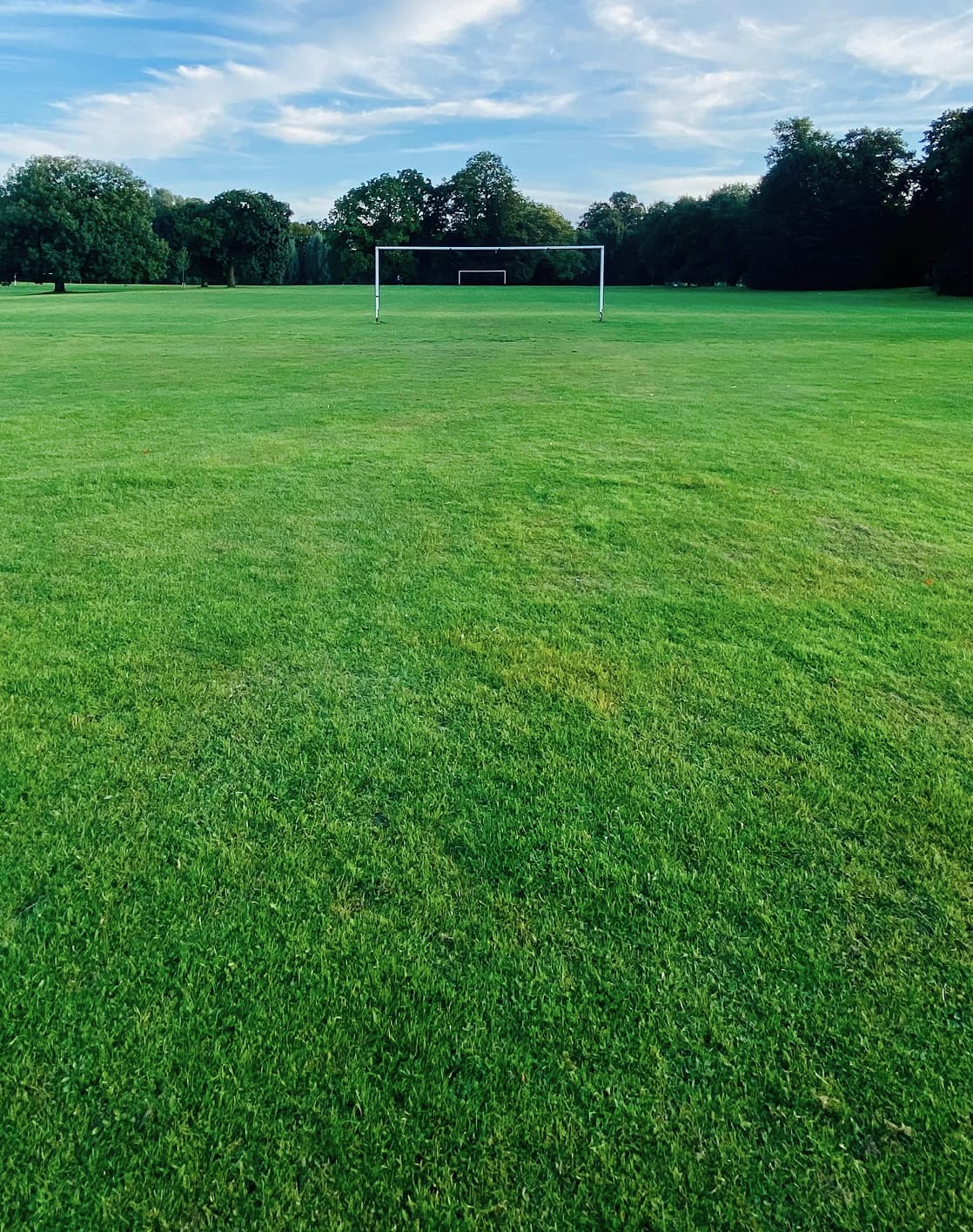 Turfgrass teren